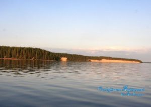 �rj�nsaari