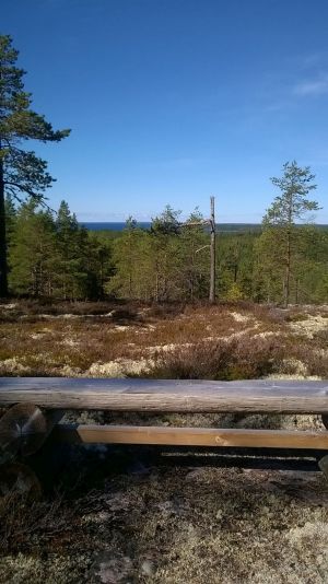 Maisema