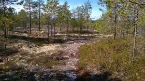 Retkipolulta